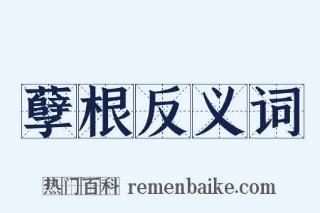 孽根反义词是什么意思的图片